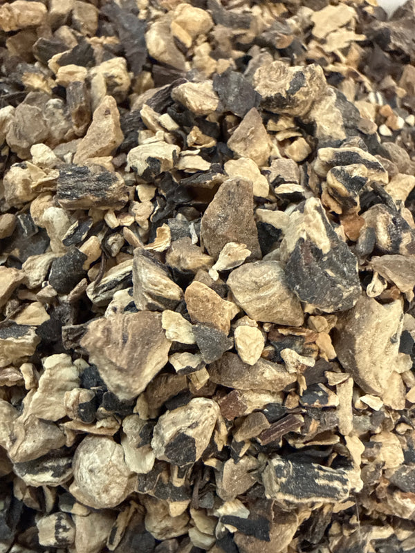 Comfrey Root – Symphytum officinale – GARDENS OF THE ANCIENTS®