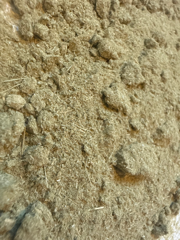 Oat Straw Powder – Avena sativa – GARDENS OF THE ANCIENTS®