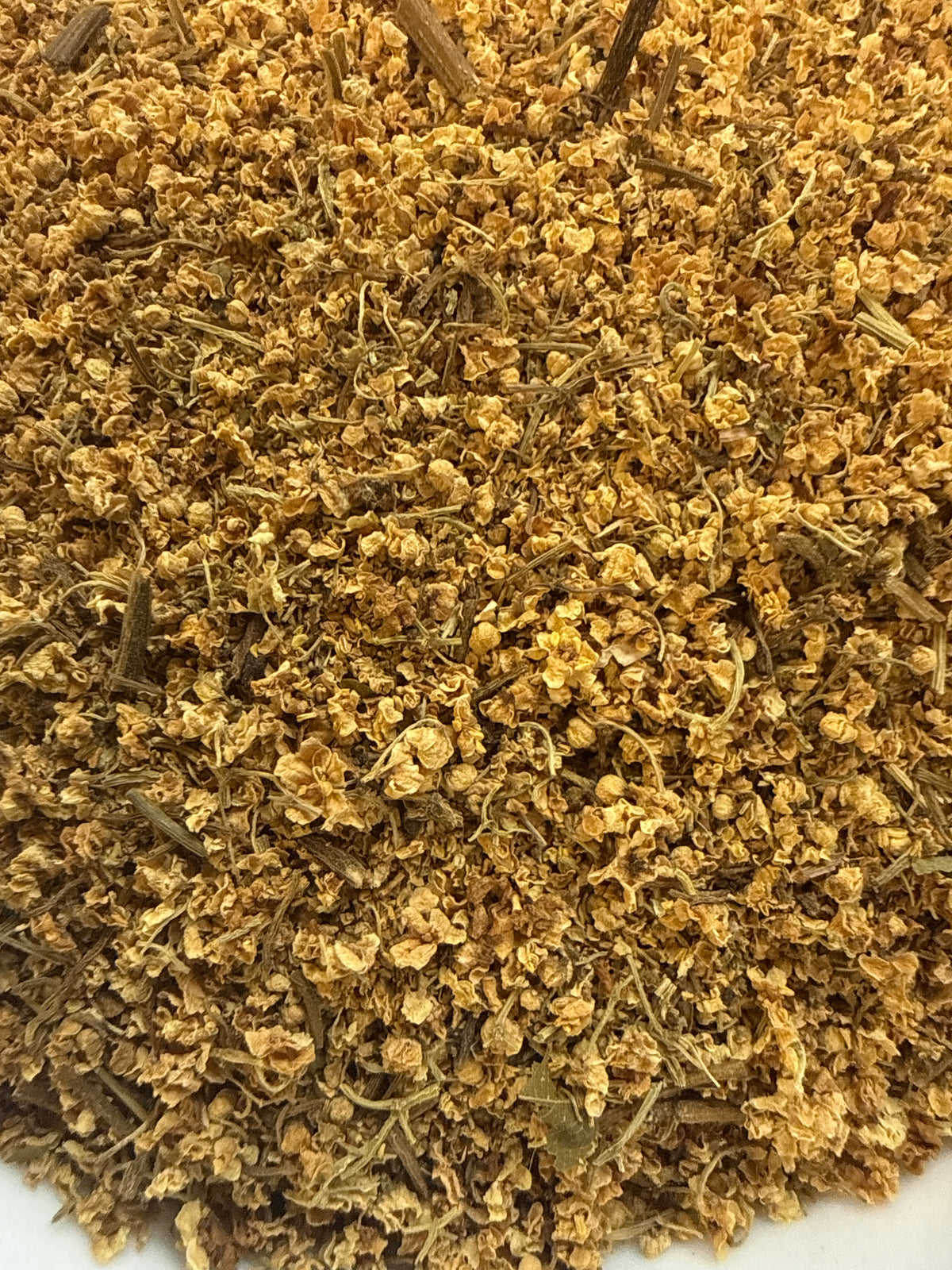 Elder Flower Whole (Sambucus nigra) Wild Harvested – GARDENS OF THE ANCIENTS®