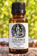 Calamus Essential Oil – Acorus calamus India – GARDENS OF THE ANCIENTS®