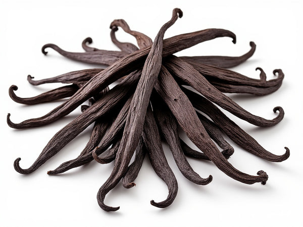 Vanilla Beans (Vanilla planifolia) – GARDENS OF THE ANCIENTS®