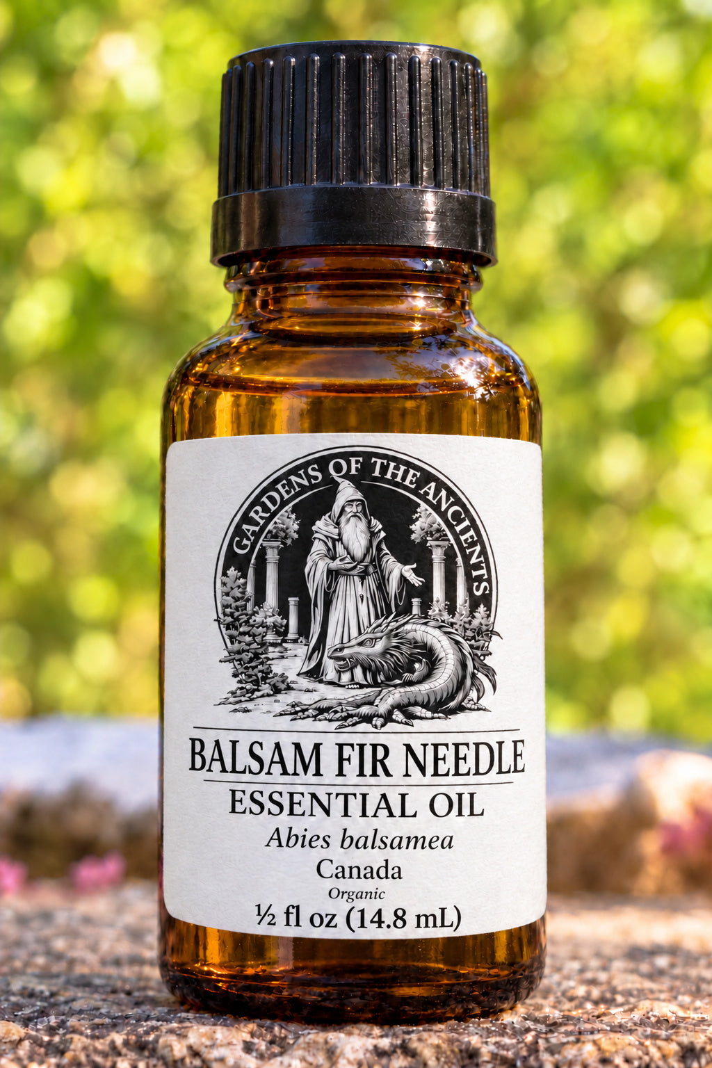 Balsam Fir Needle Essential Oil – Abies balsamea Canada – GARDENS OF THE ANCIENTS®