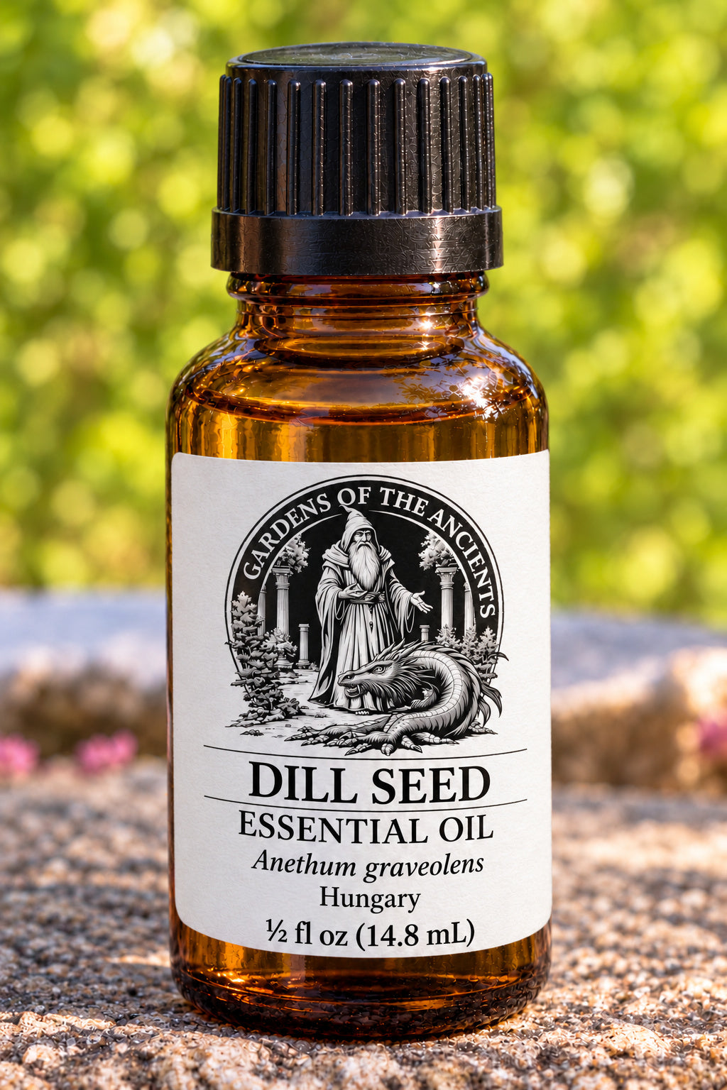 Dill Seed Essential Oil – Anethum graveolens Hungary – GARDENS OF THE ANCIENTS®