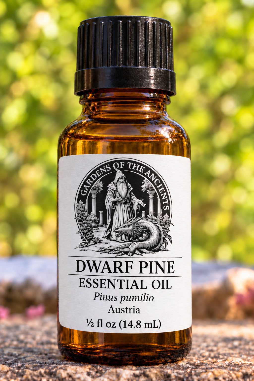 Dwarf Pine Essential Oil – Pinus pumilio Austria – GARDENS OF THE ANCIENTS®