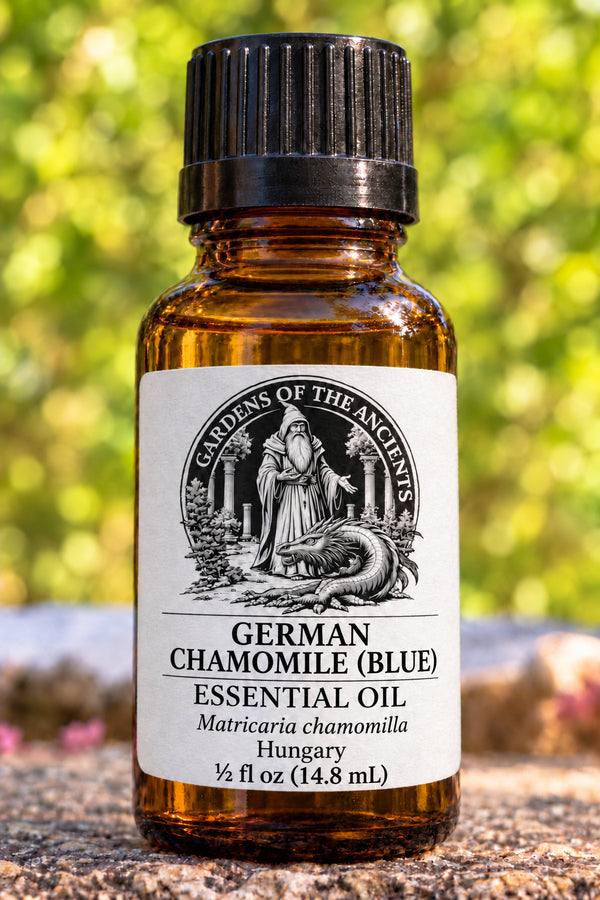 German Chamomile (Blue) Essential Oil – Matricaria chamomilla Hungary – GARDENS OF THE ANCIENTS®