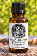 Green Spikenard Essential Oil – Nardostachys jatamansi India – GARDENS OF THE ANCIENTS®