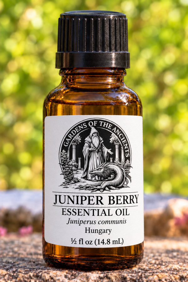 Juniper Berry Essential Oil – Juniperus communis Hungary – GARDENS OF THE ANCIENTS®