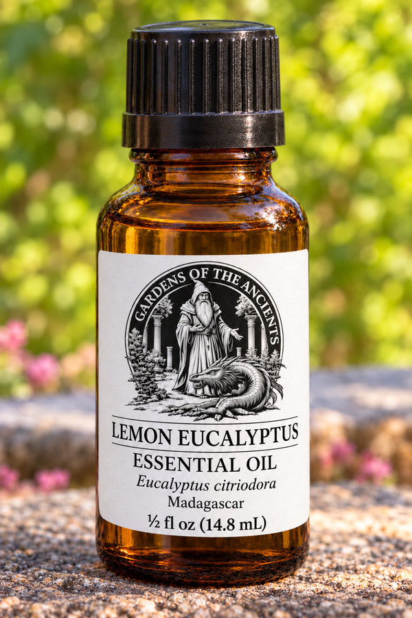 Lemon Eucalyptus Essential Oil – Eucalyptus citriodora Madagascar – GARDENS OF THE ANCIENTS®