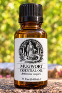 Mugwort Essential Oil – Artemisia vulgaris – GARDENS OF THE ANCIENTS®