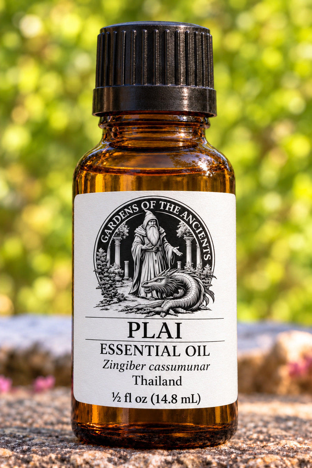 Plai Essential Oil – Zingiber cassumunar Thailand – GARDENS OF THE ANCIENTS®
