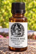 Scotch Pine Essential Oil – Pinus sylvestris Hungary – GARDENS OF THE ANCIENTS®