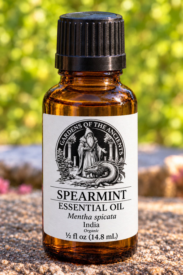 Spearmint Essential Oil – Mentha spicata India – GARDENS OF THE ANCIENTS®