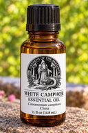White Camphor Essential Oil – Cinnamomum camphora China – GARDENS OF THE ANCIENTS®