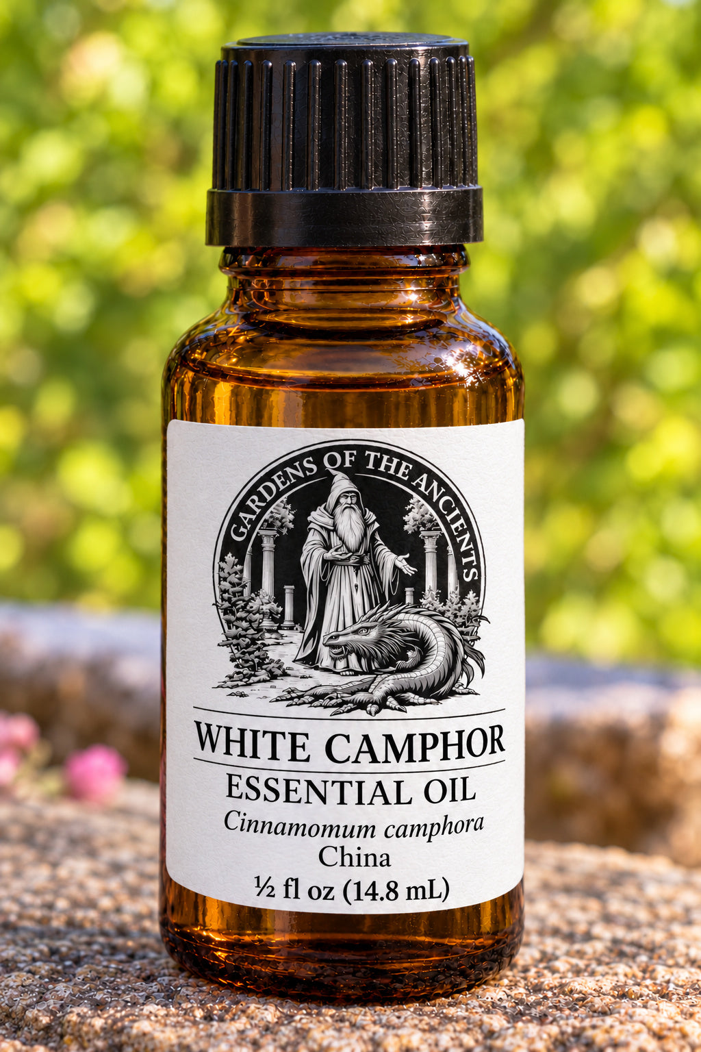 White Camphor Essential Oil – Cinnamomum camphora China – GARDENS OF THE ANCIENTS®
