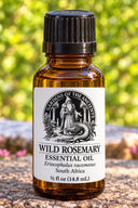 Wild Rosemary Essential Oil – Eriocephalus racemosus South Africa – GARDENS OF THE ANCIENTS®