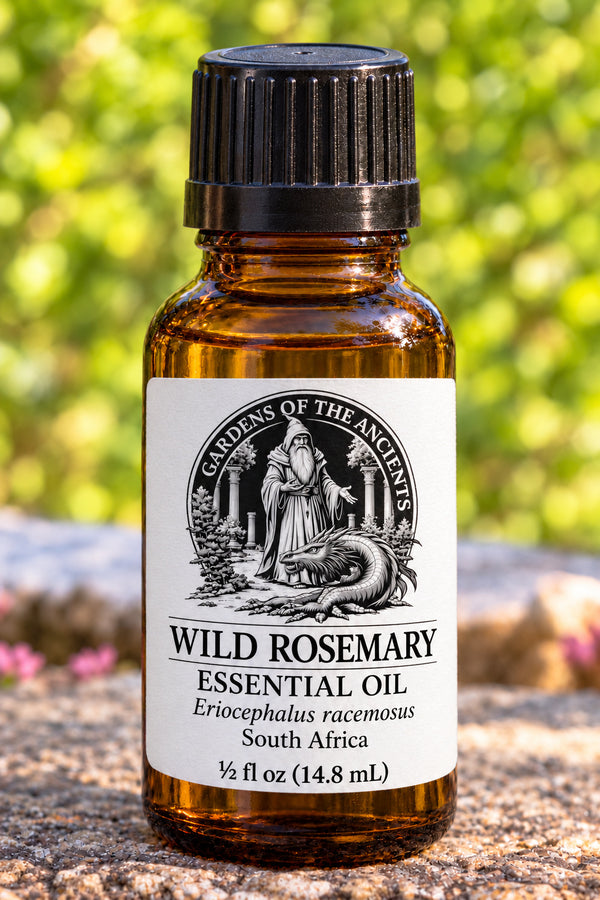 Wild Rosemary Essential Oil – Eriocephalus racemosus South Africa – GARDENS OF THE ANCIENTS®