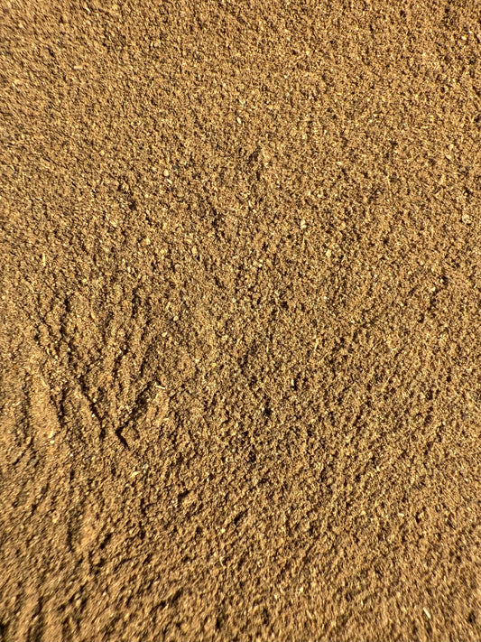 Black Cohosh Root (Actaea racemosa) Organic