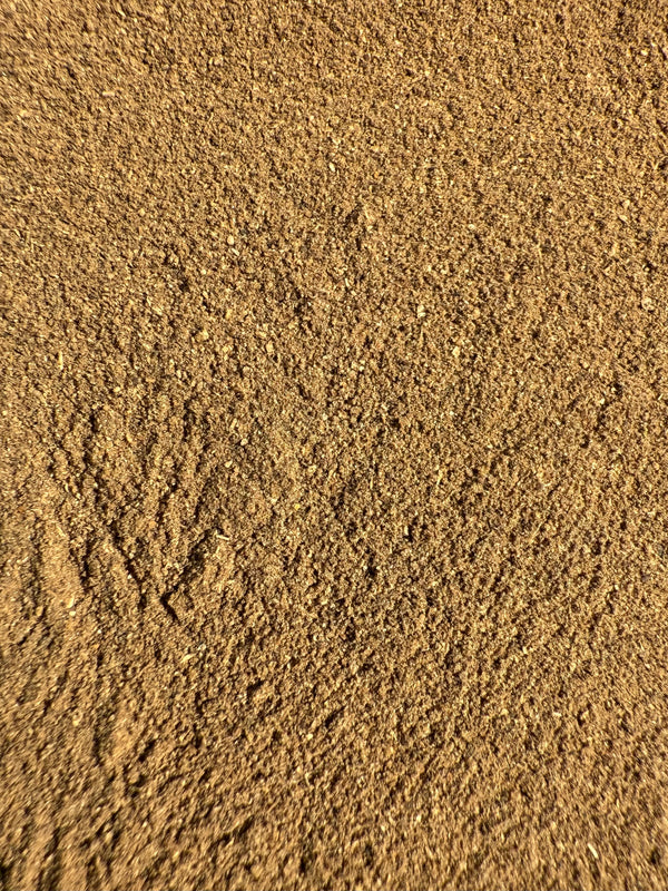Black Cohosh Root (Actaea racemosa) Organic – GARDENS OF THE ANCIENTS®