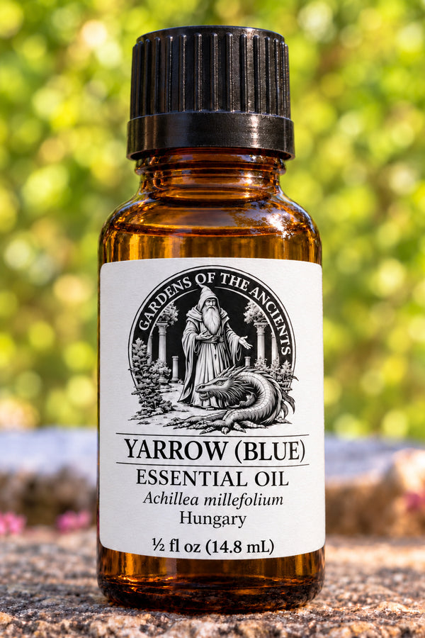 Yarrow (Blue) Essential Oil – Achillea millefolium Hungary – GARDENS OF THE ANCIENTS®