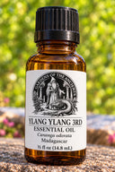 Ylang Ylang 3rd Essential Oil – Cananga odorata Madagascar – GARDENS OF THE ANCIENTS®