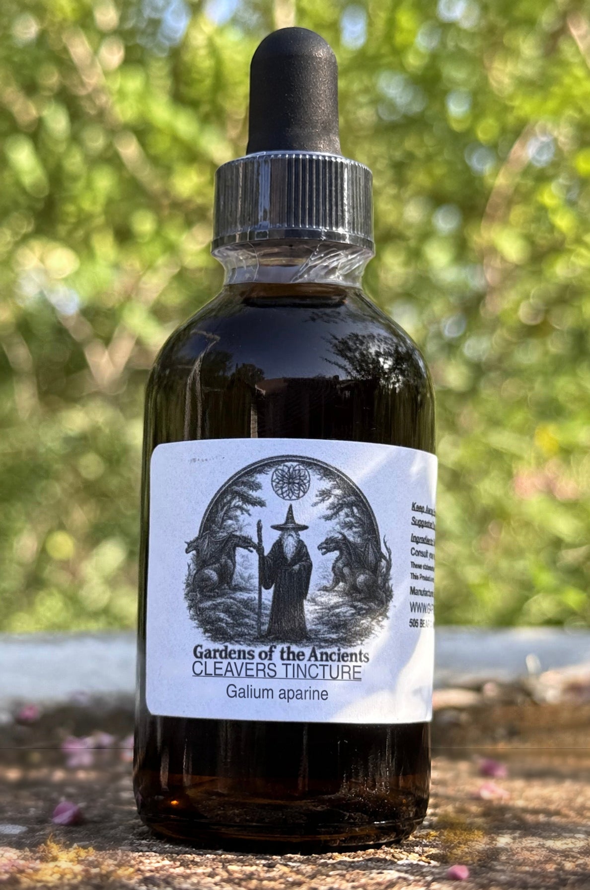 Cleavers Tincture (Galium aparine) – GARDENS OF THE ANCIENTS®