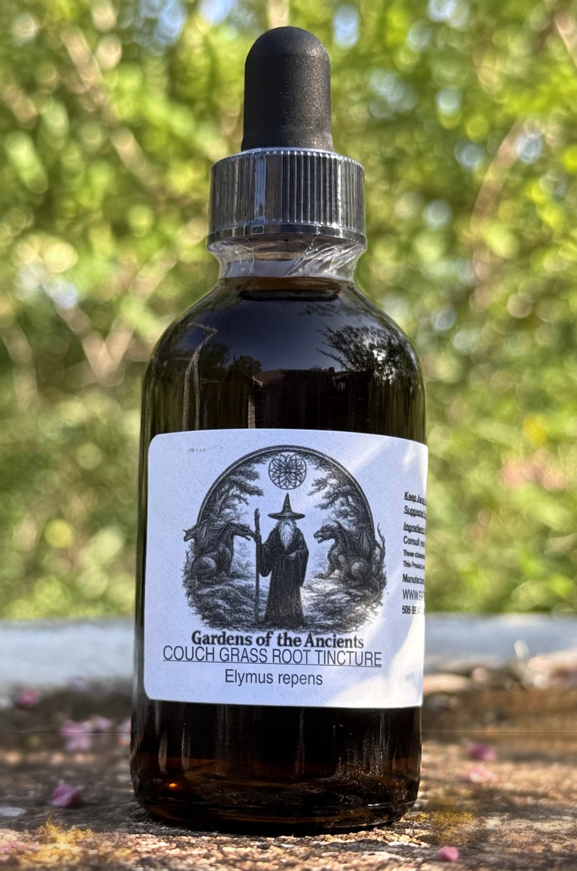 Couch Grass Root Tincture (Elymus repens) – GARDENS OF THE ANCIENTS®
