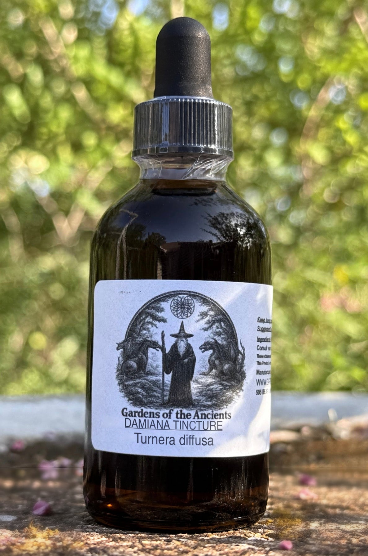 Damiana Tincture (Turnera diffusa) – GARDENS OF THE ANCIENTS®