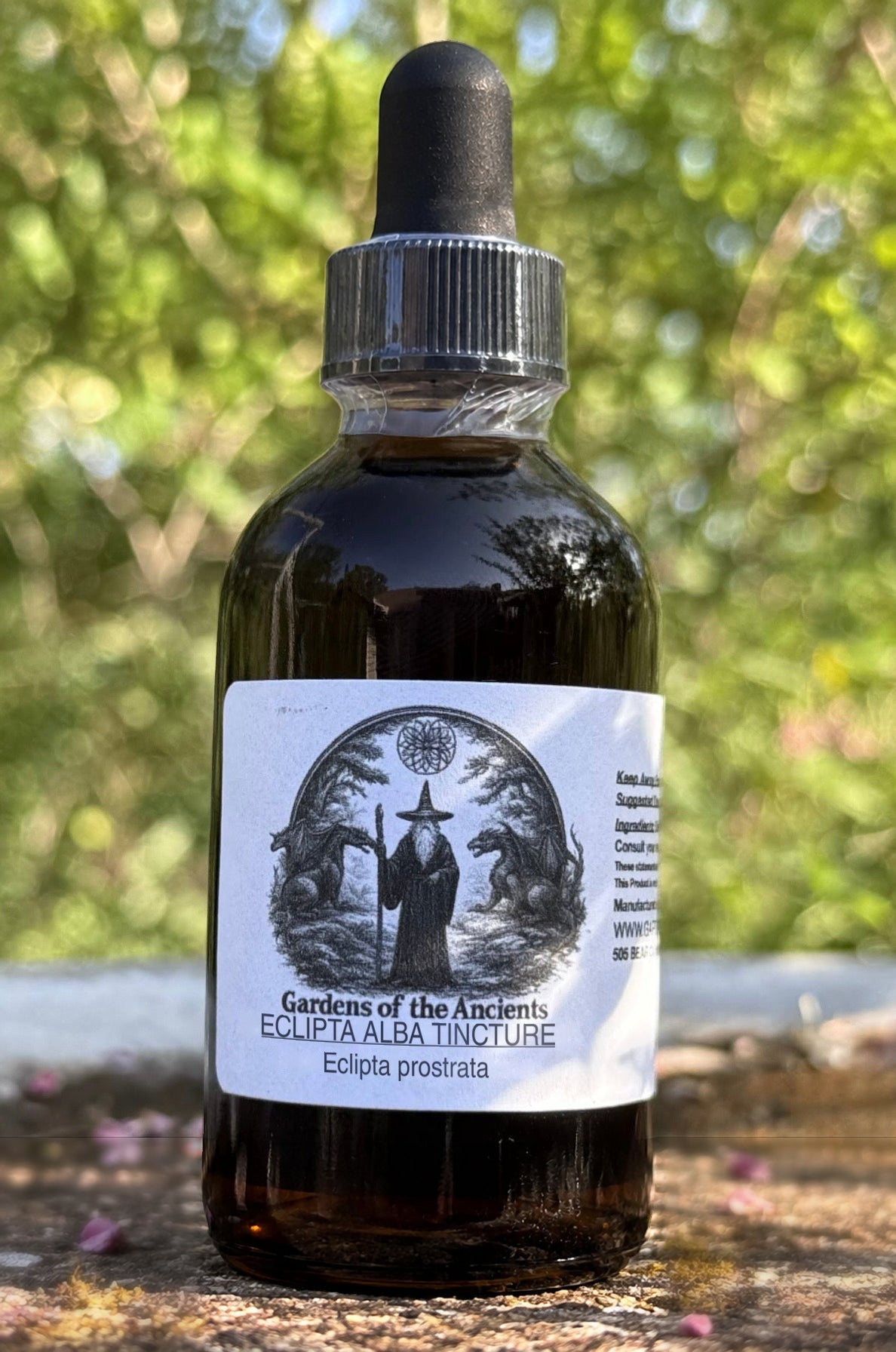 Eclipta Alba Tincture (Mo Han Lian 墨旱莲, Eclipta prostrata) – GARDENS OF THE ANCIENTS®