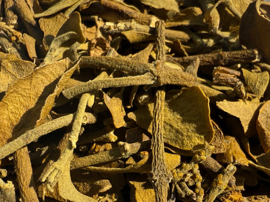 Mistletoe Herb Wild Harvested American