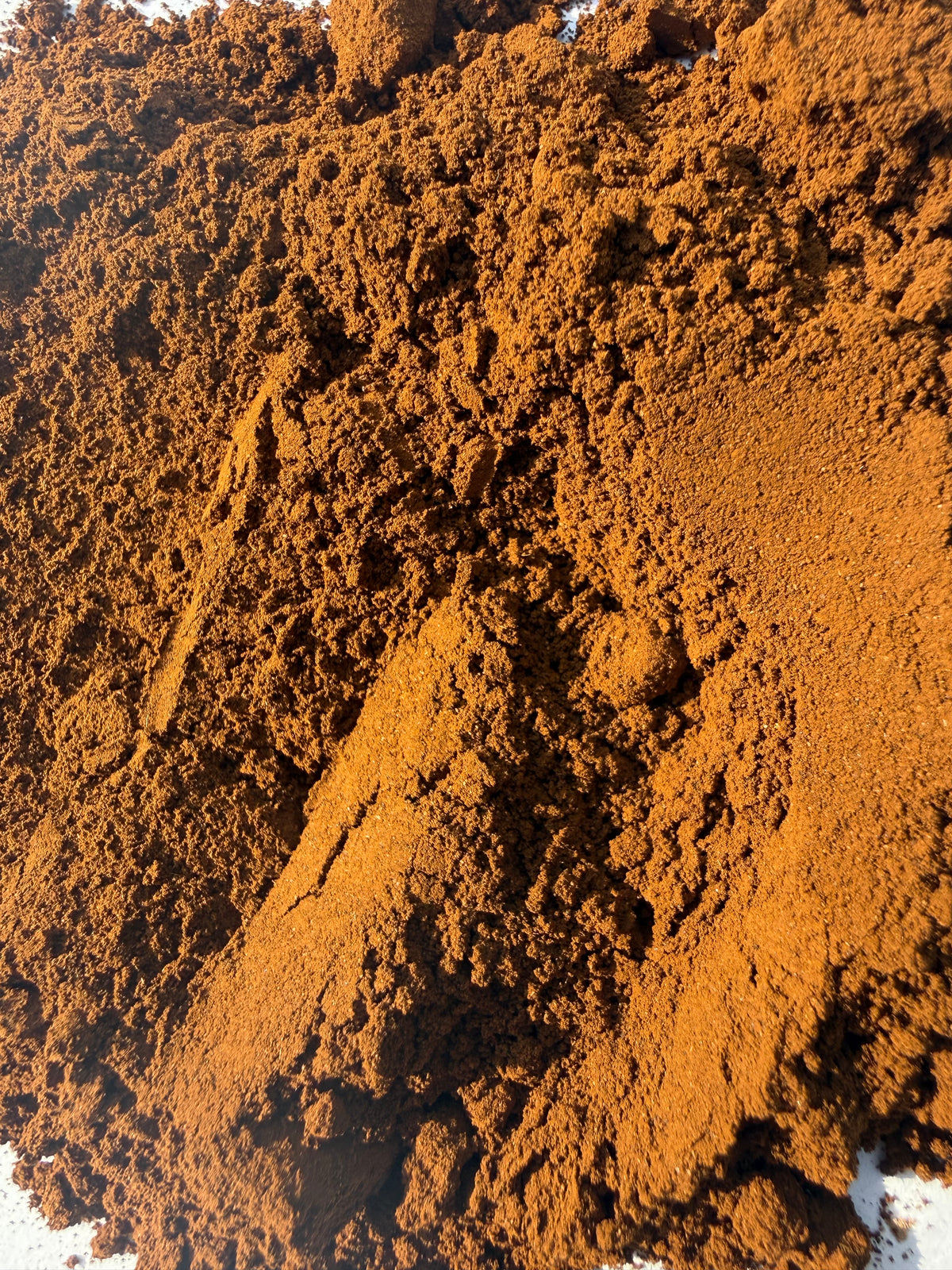 Chaga Mushroom Powder (Inonotus obliquus) – GARDENS OF THE ANCIENTS®