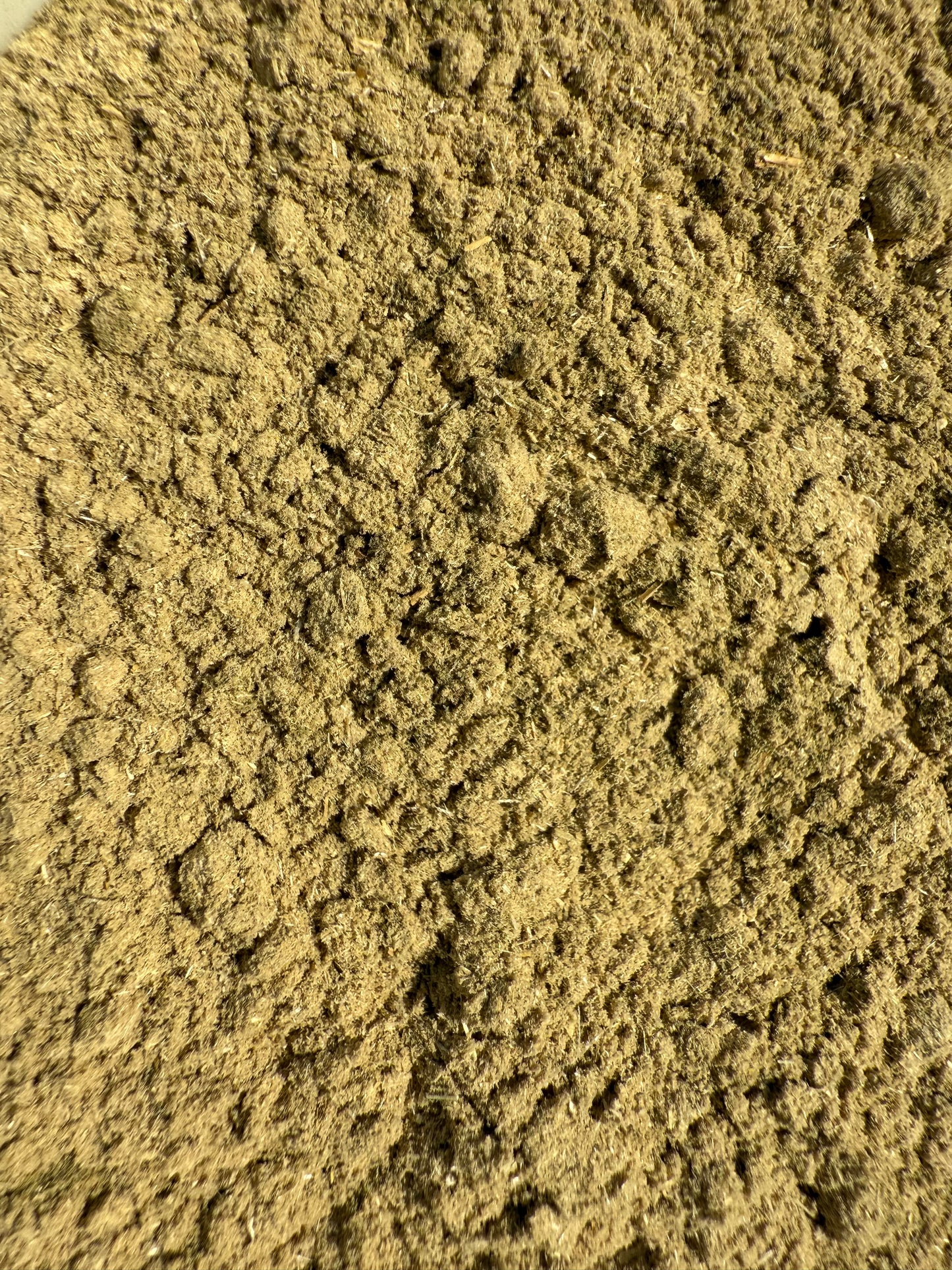 Blessed Thistle \ St. Benedict’s Herb Powder Organic (Chicus Benedictus)