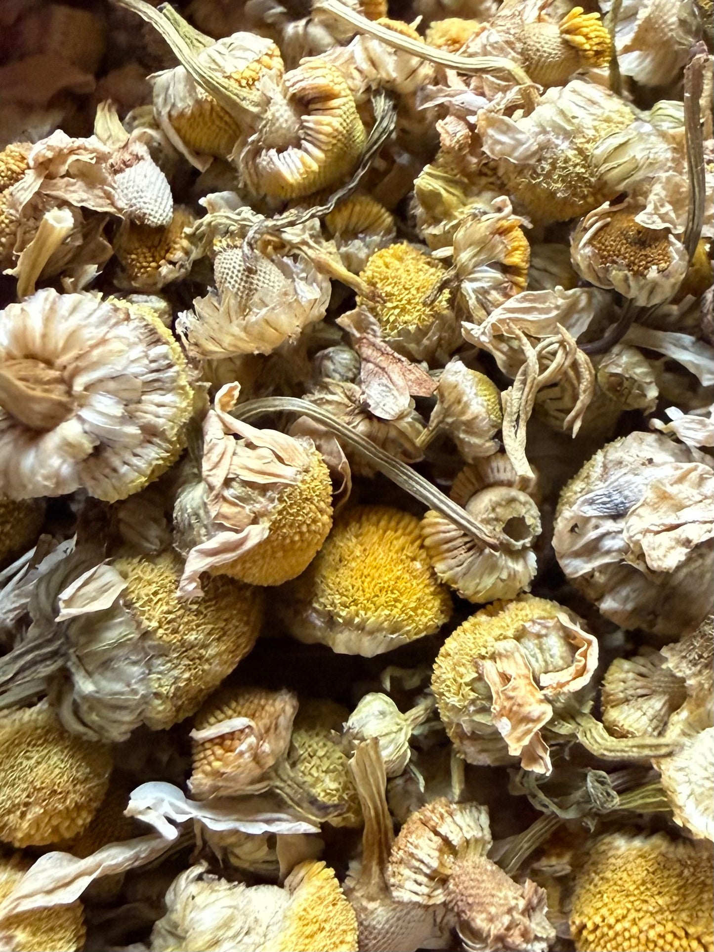 Chamomile Flowers pods