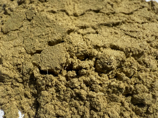 Bee Balm Powder Organic