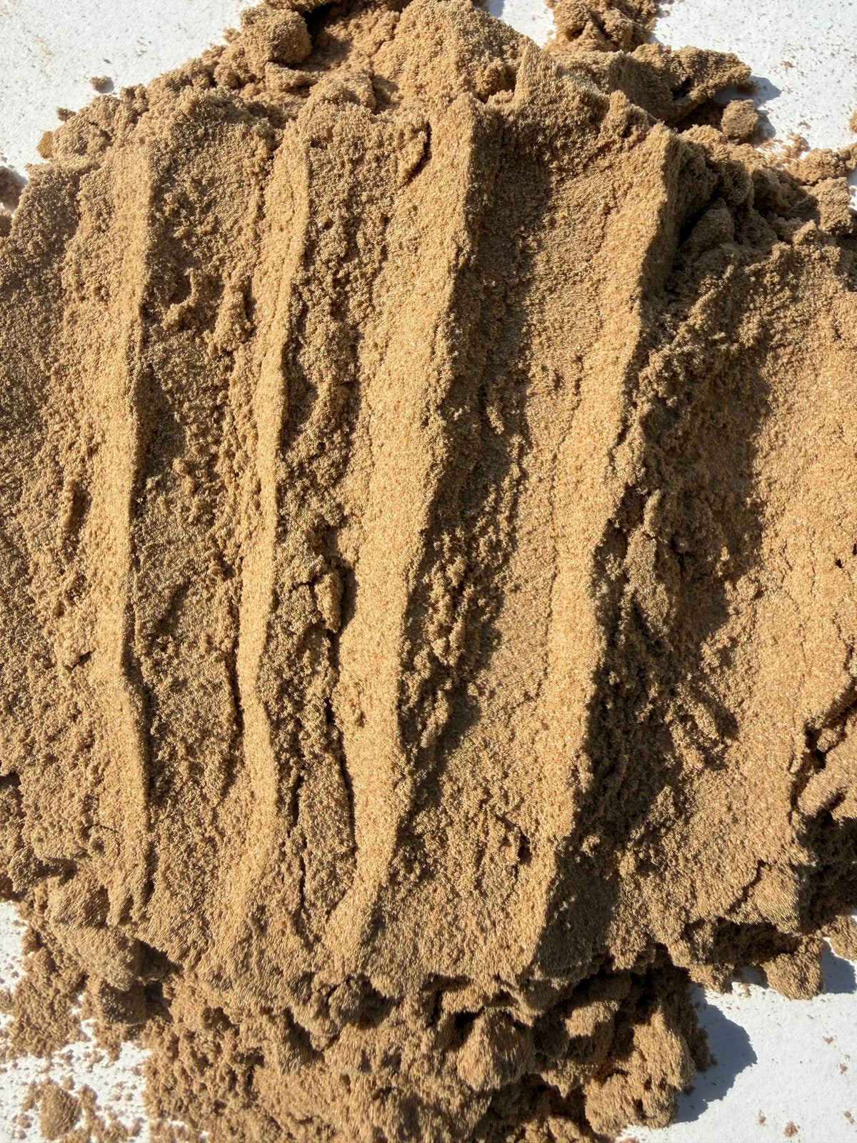 Calendula Powder (Calendula officinalis) – GARDENS OF THE ANCIENTS®