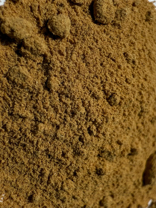 Angelica Root Powder Organic