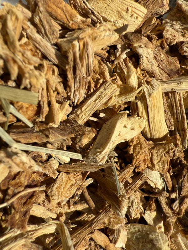 Parsley Root Italian (Petroselinum crispum) USDA Organic – GARDENS OF THE ANCIENTS®