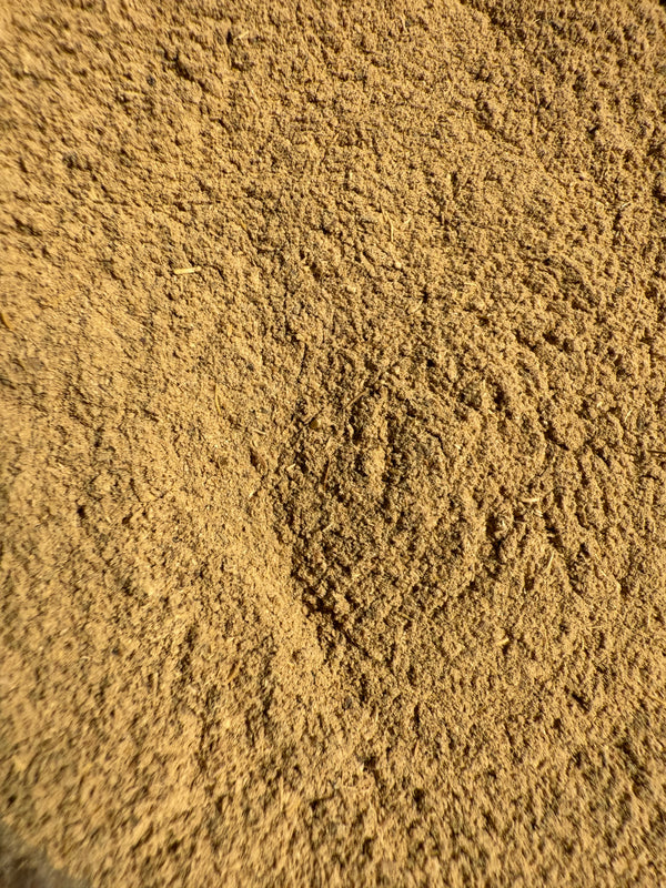 Blue Cohosh Root (Caulophyllum thalictroides) Organic – GARDENS OF THE ANCIENTS®