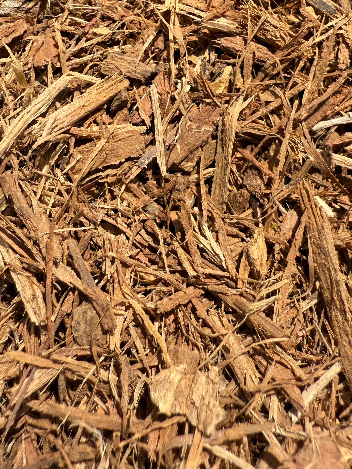 White Oak bark Organic