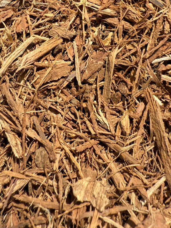 White Oak Bark (Quercus alba) Organic – GARDENS OF THE ANCIENTS®