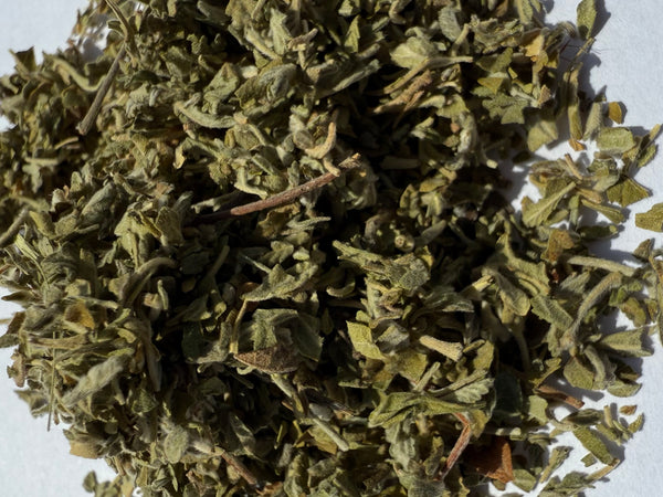Damiana Leaf (Turnera diffusa) Organic – GARDENS OF THE ANCIENTS®