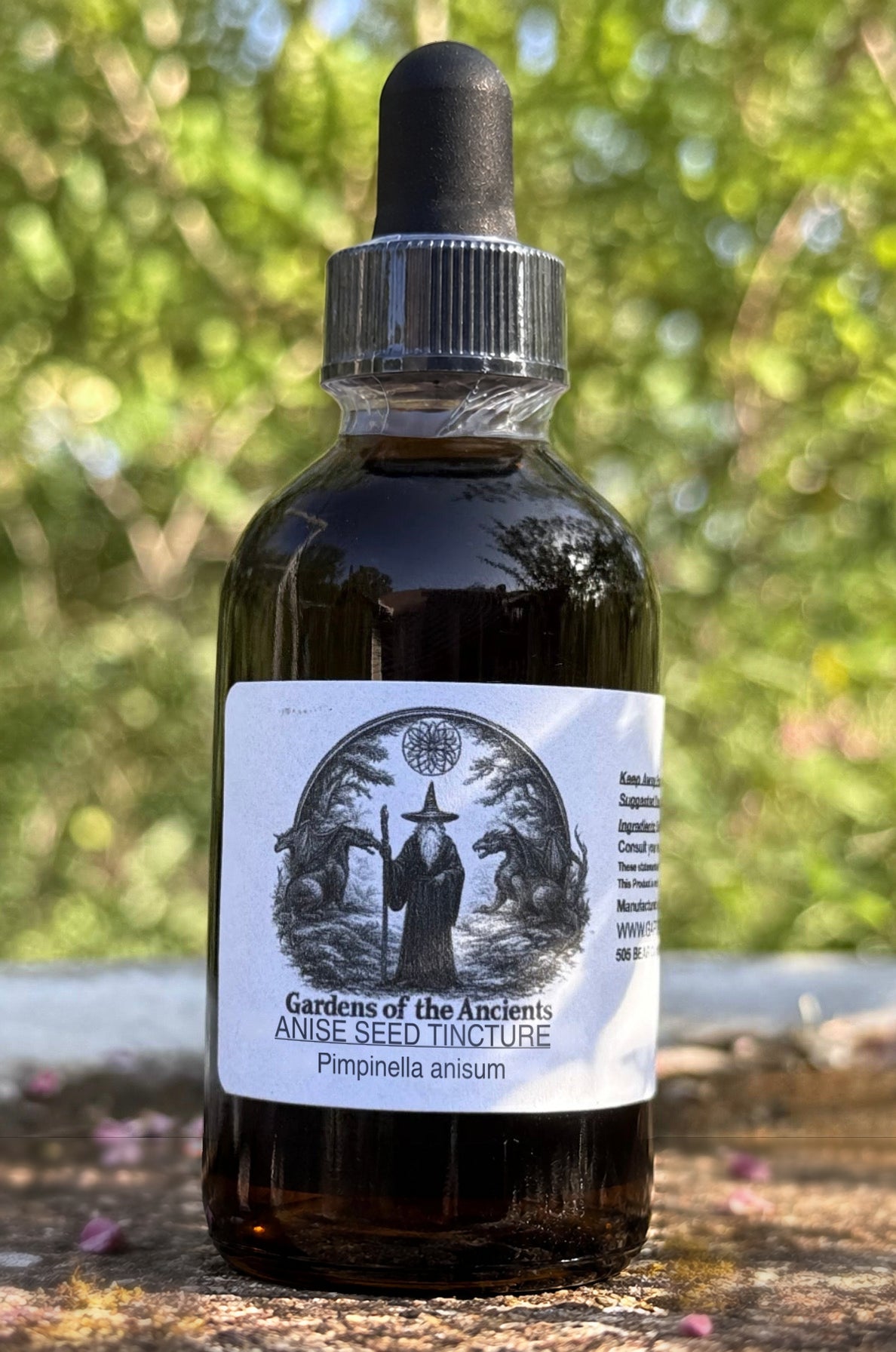 Anise Seed Tincture (Pimpinella anisum) – GARDENS OF THE ANCIENTS®