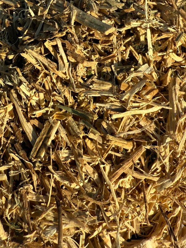 Nettle Root Cut (Urtica dioica) Organic – GARDENS OF THE ANCIENTS®