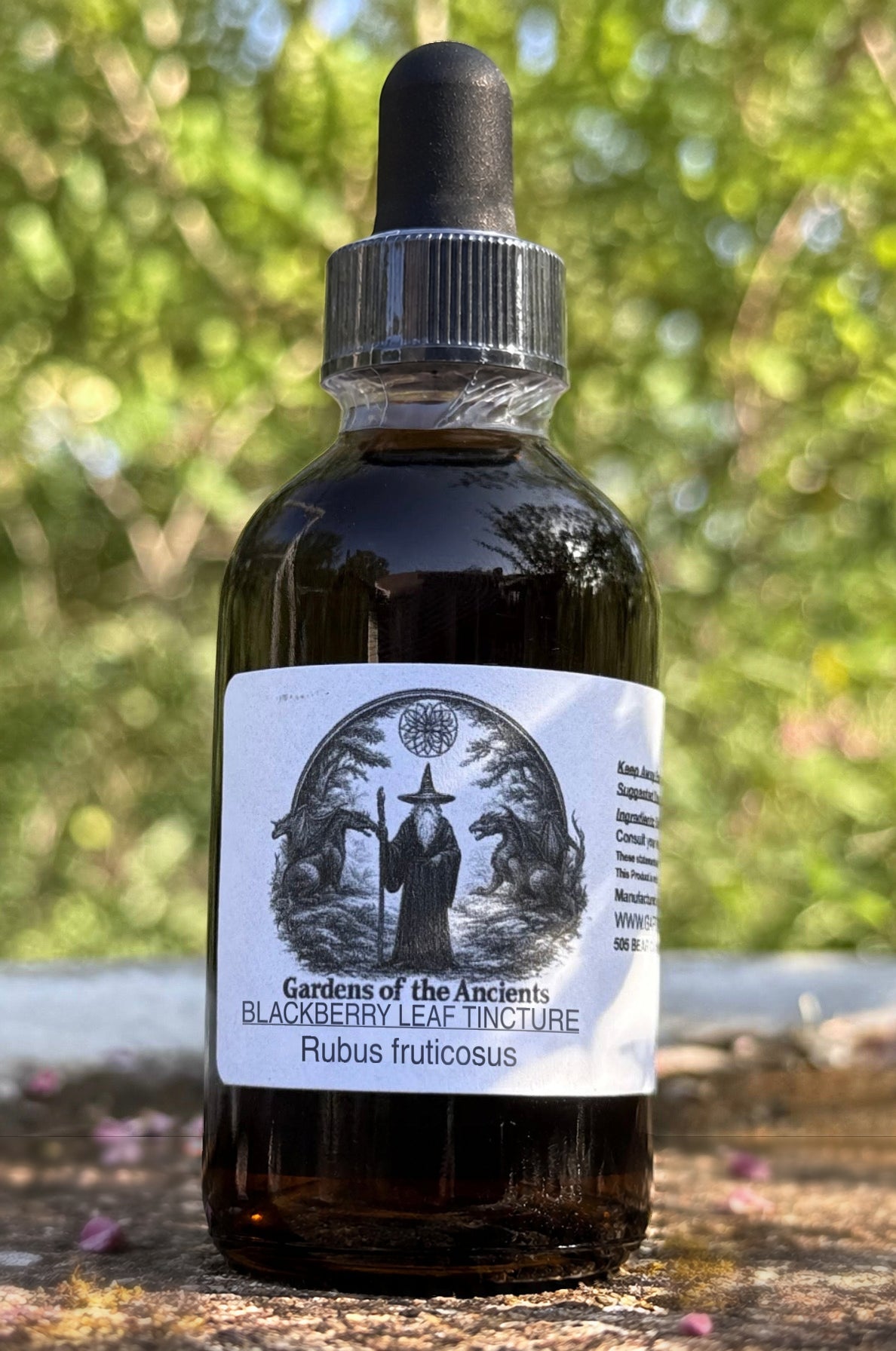 Blackberry Leaf Tincture (Rubus fruticosus) – GARDENS OF THE ANCIENTS®