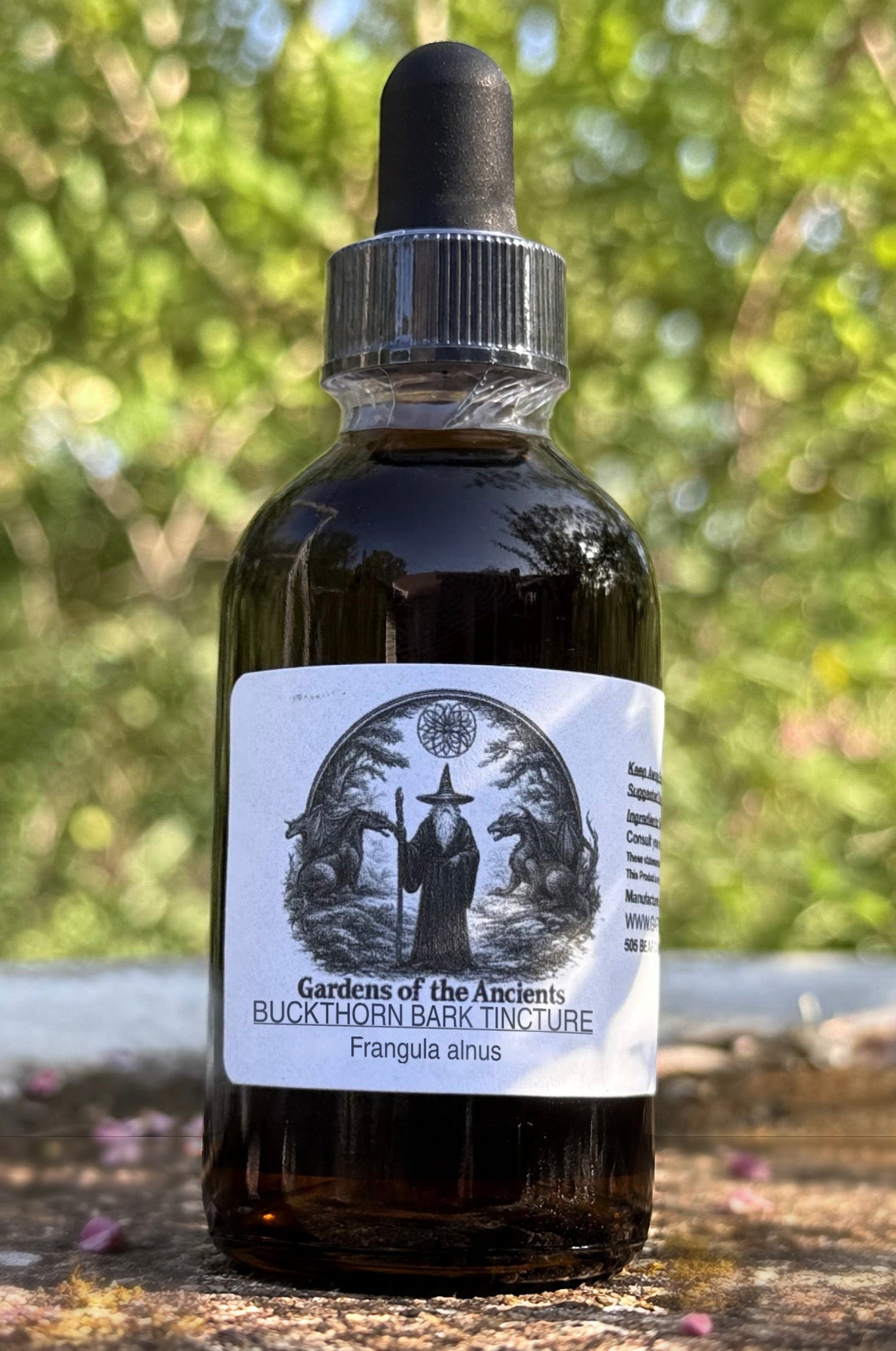 Buckthorn Bark Tincture (Frangula alnus) – GARDENS OF THE ANCIENTS®