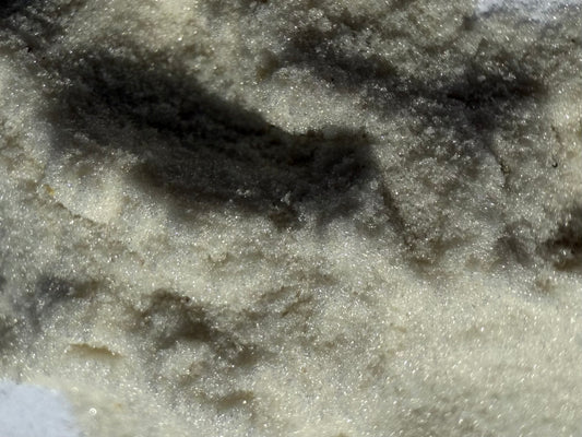 Arrow Root Powder Organic