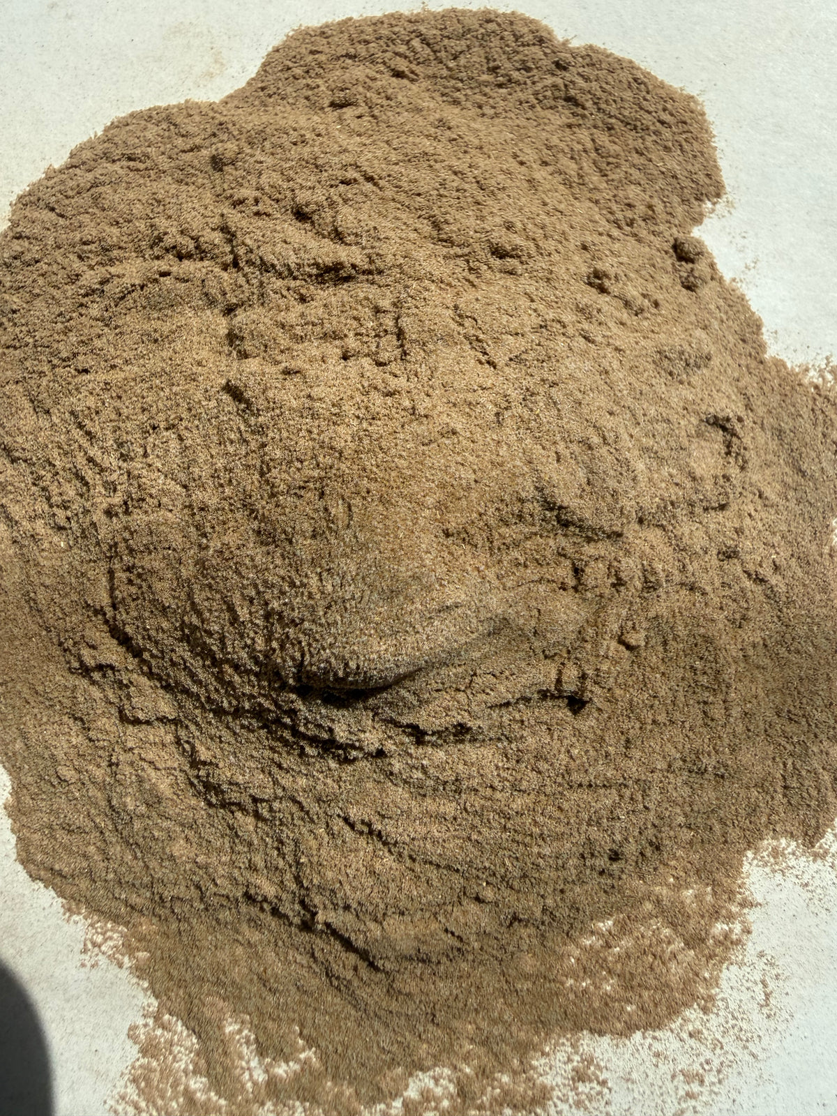 Comfrey Root Powder (Symphytum officinale) – GARDENS OF THE ANCIENTS®