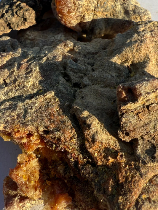 Pinion Resin aka Trementia, or Pine Resin