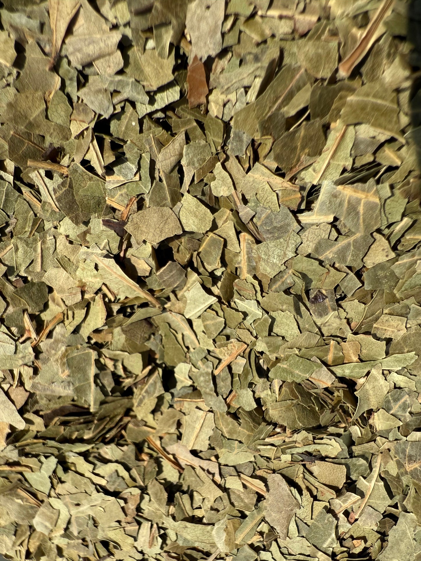 Dried Neem Leaf cut