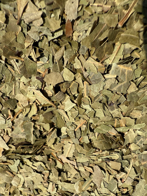 Dried Neem Leaf Cut (Azadirachta indica) – GARDENS OF THE ANCIENTS®