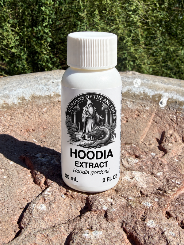 Hoodia Extract – Hoodia gordonii – GARDENS OF THE ANCIENTS®
